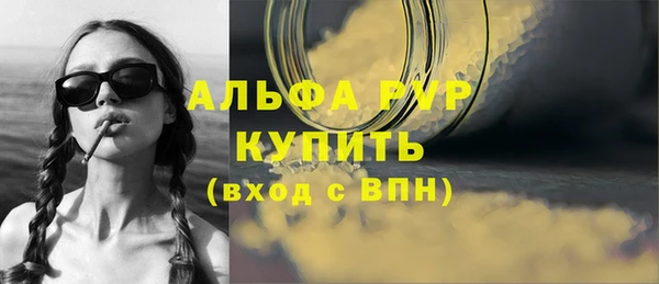 стаф Приозерск