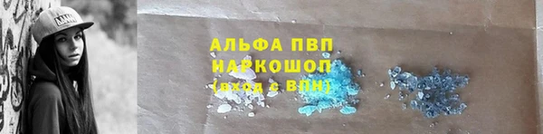 стаф Приозерск
