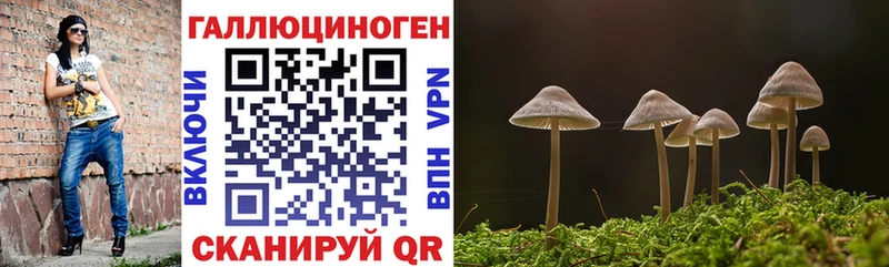 Псилоцибиновые грибы Psilocybe  закладки  площадка Telegram  Аркадак 